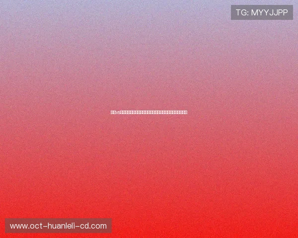 汉堡vs法兰克福球队身价对比揭示实力差距与潜在走势赛前观察解析